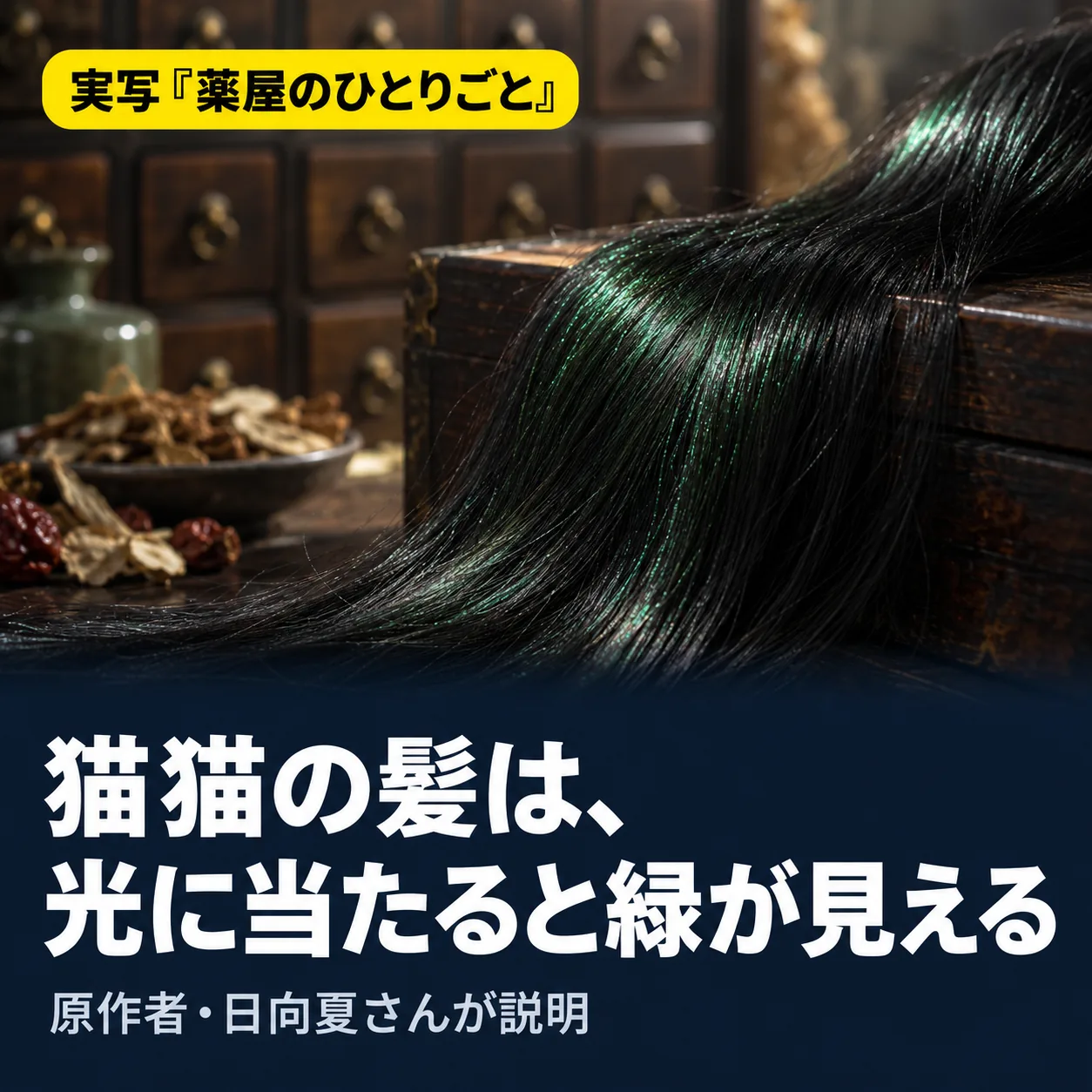 自作カード。実写『薬屋のひとりごと』。猫猫の髪は、光に当たると緑が見える。原作者・日向夏さんが説明